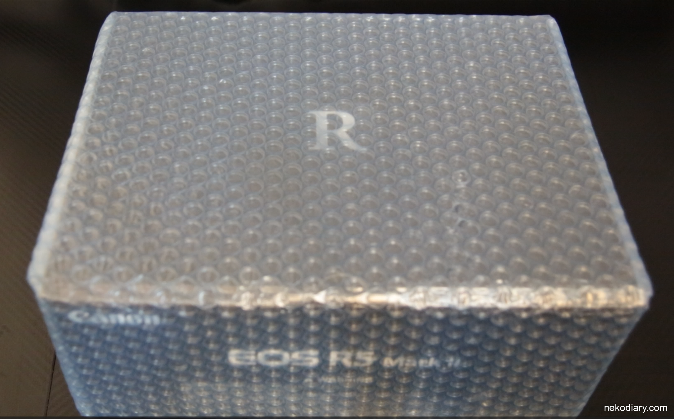 Canon EOS R5 mkⅡをついに買った話と視線入力AFが面白い話(初見レビュー)