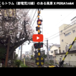 桜と東京さくらトラム（都電荒川線）のある風景 X PERIA1mk4でCinema Pro撮影