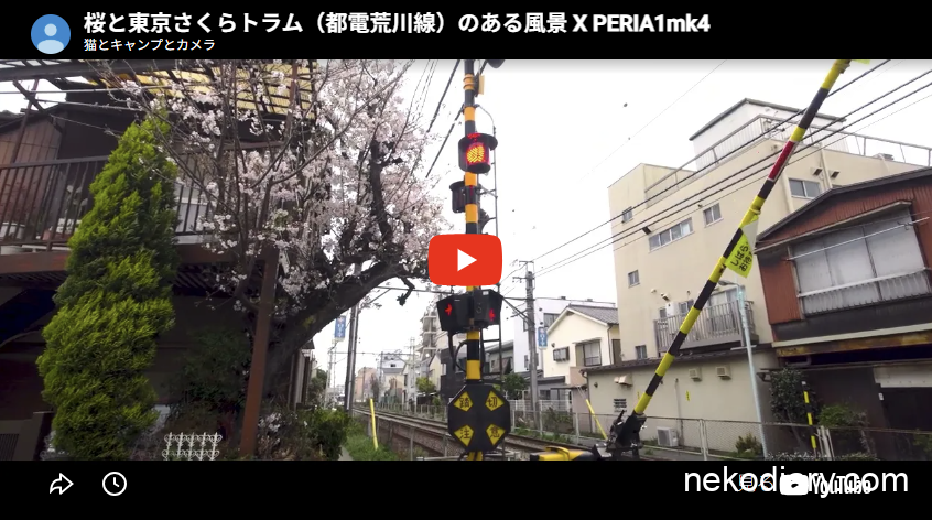 桜と東京さくらトラム（都電荒川線）のある風景 X PERIA1mk4でCinema Pro撮影