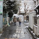 雪の日の風景を撮影してきました　Canon EOS R5 Mark IIとRF70-200mm F2.8 L IS USM Z作例