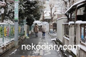 雪の日の風景を撮影してきました　Canon EOS R5 Mark IIとRF70-200mm F2.8 L IS USM Z作例