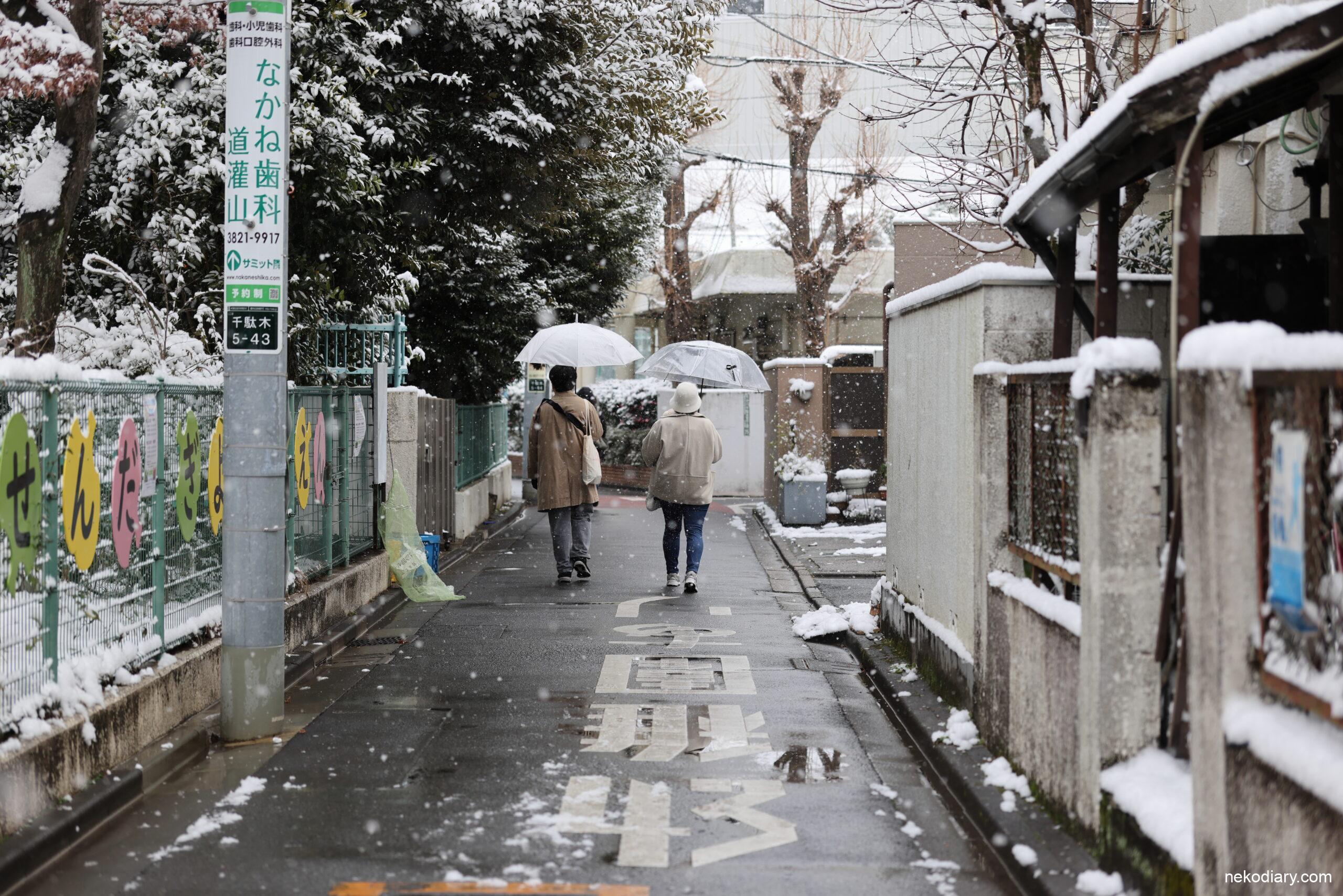 雪の日の風景を撮影してきました　Canon EOS R5 Mark IIとRF70-200mm F2.8 L IS USM Z作例